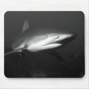 Haifisch Mousepad