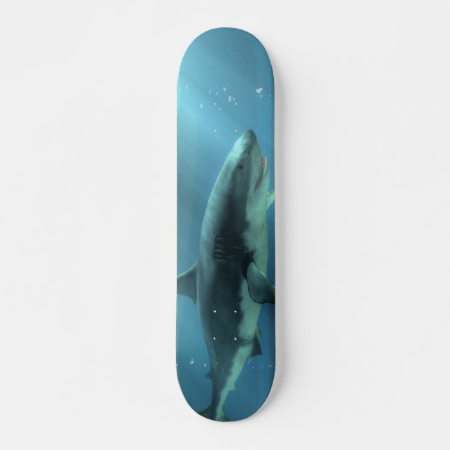 Haifisch Skateboard (Vorne)