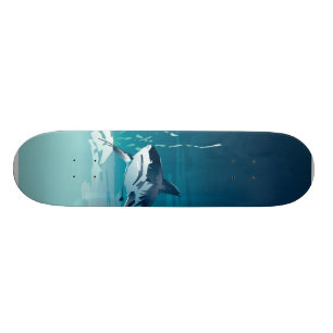 Haifisch Skateboard