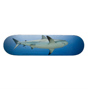 Haifisch-Skateboard Skateboard
