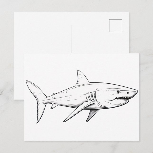 Haifisch-Skizze Postkarte (Vorne/Hinten)
