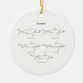 Haifisch-Spezies-Logo Keramikornament