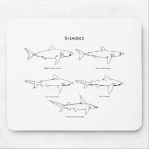 Haifisch-Spezies-Logo Mousepad