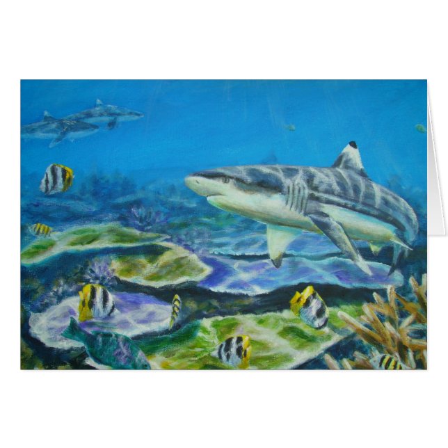 Haifisch Tahiti (Vorderseite (Horizontal))