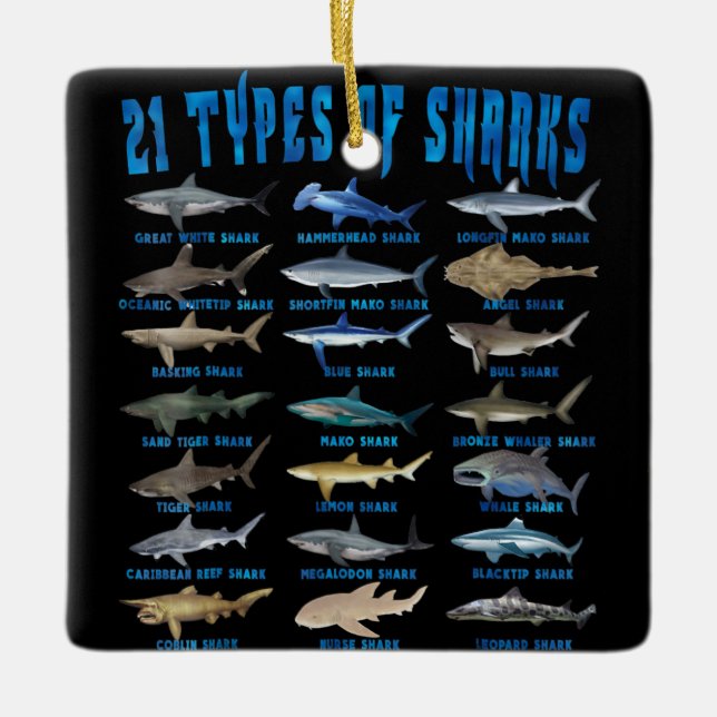 Haifische 21 Arten von Haien Keramikornament (Vorderseite)