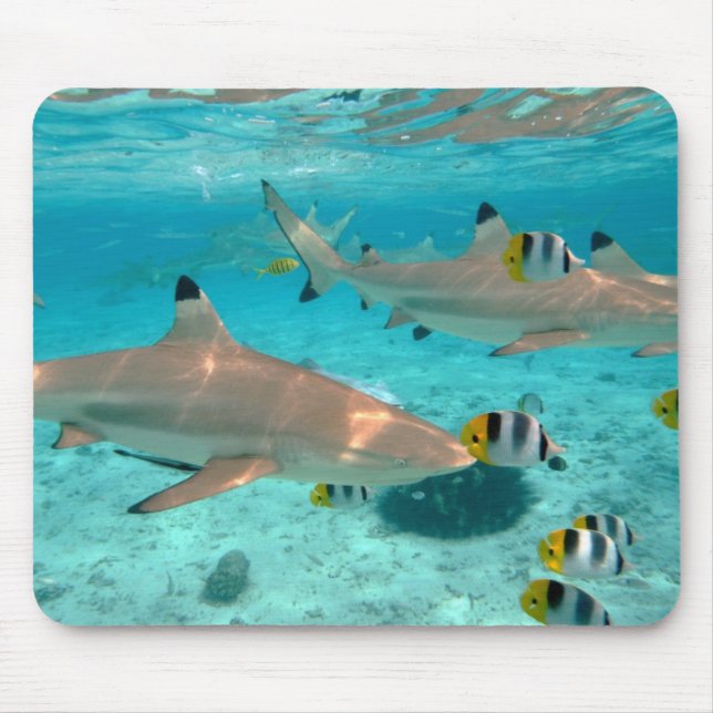 Haifische im Bora Bora Lagune mousepad (Vorne)