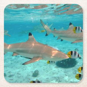 Haifische im Bora Bora Lagune-Untersetzer Rechteckiger Pappuntersetzer