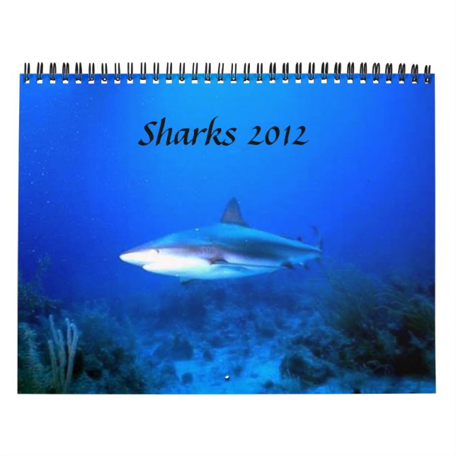 Haifische tragen 2012 ein kalender (Titelbild)