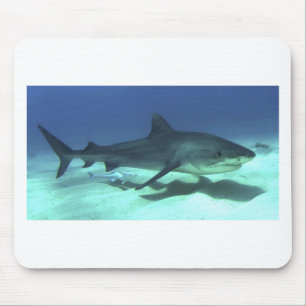 Haifischfische Tropischer Ozean Schicksal Geschenk Mousepad