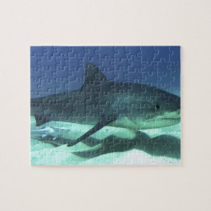 Haifischfische Tropischer Ozean Schicksal Geschenk Puzzle