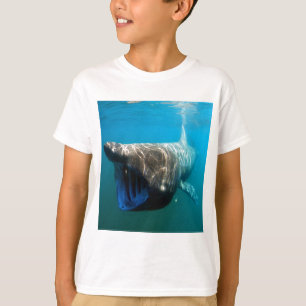 Haifischfische Tropischer Ozean Schicksal Geschenk T-Shirt
