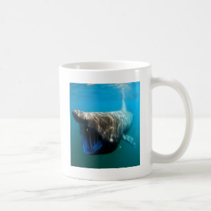 Haifischfische Tropischer Ozean Schicksal Geschenk Tasse