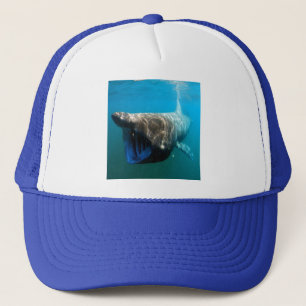 Haifischfische Tropischer Ozean Schicksal Geschenk Truckerkappe