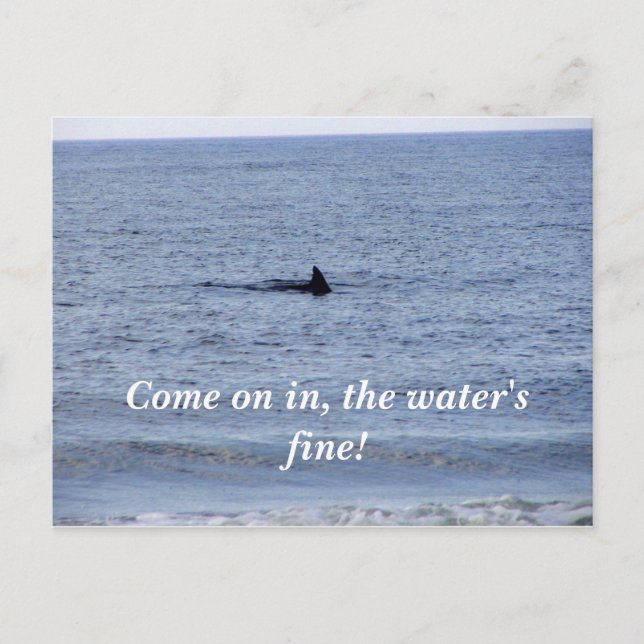 Haifischflossen-Postkarte Postkarte (Vorderseite)