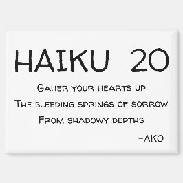 HAIKU 20 MAGNET