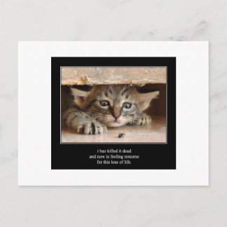 Haiku Katze 12 Postkarten