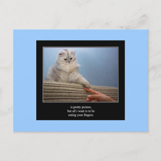 Haiku Katze 14 Postkarte