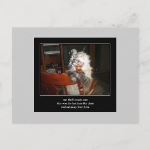 Haiku Katze 15 Postkarte