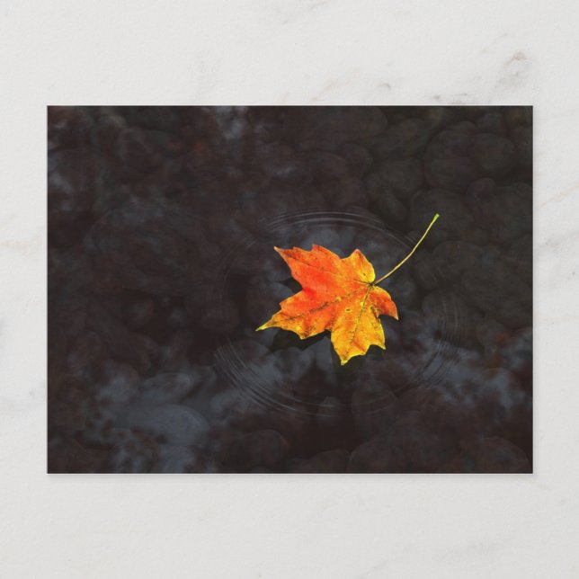 Haiku Postcard Postkarte (Vorderseite)