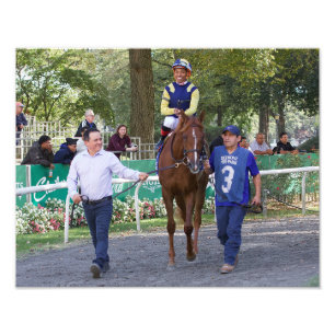 Hail To by Kitten's Joy Fotodruck