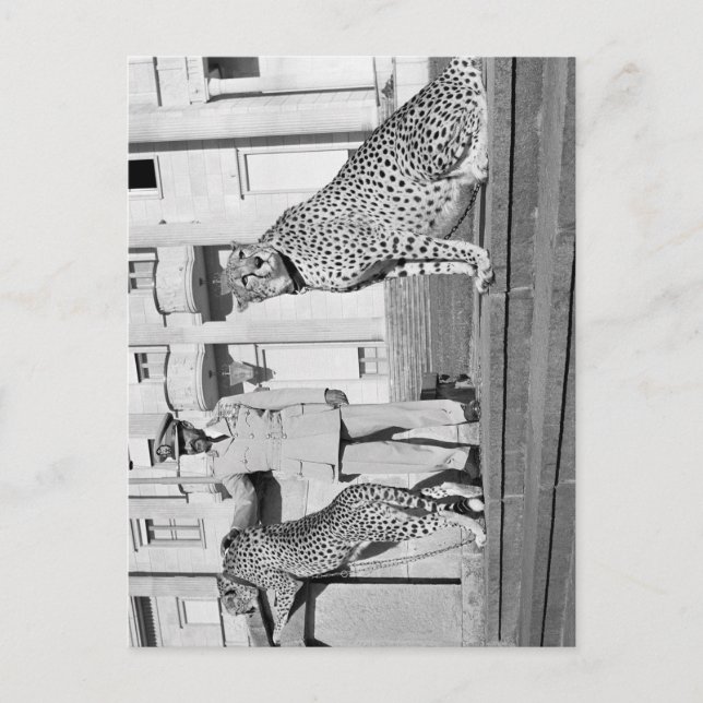 Haile Selassie - HIM - Rastafari - Postcard Postkarte (Vorderseite)