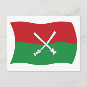 Hainan Li & Miao Flag Postkarte