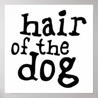 Hair des Hundes