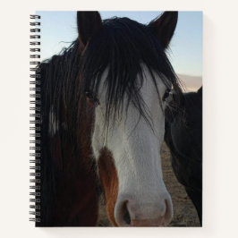 Hair in the Eyes Spiral Notebook Notizbuch