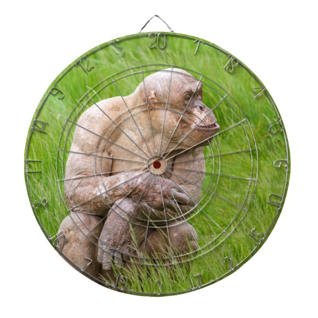 Hairless Chimpanze Dartscheibe (vorne)