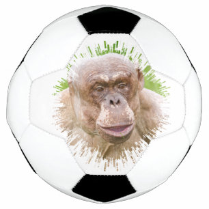 Hairless Chimpanze Fußball