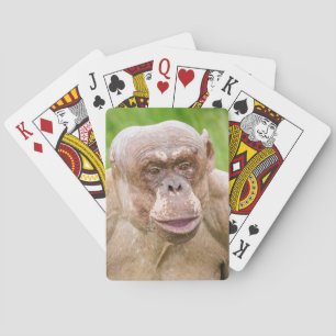 Hairless Chimpanze Spielkarten