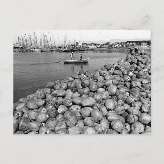 Haiti Port Au Prince Postkarte (Vorderseite)