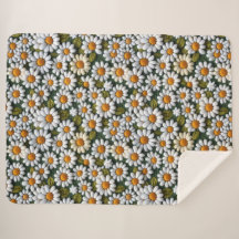 Häkeln Sie weiße Gänseblümchen Frühlingswildblumen