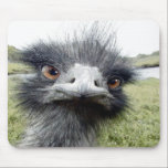 Haken Mousepad<br><div class="desc">****************************************************************************************************************************************************************************************************************************************************************</div>