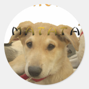 Hakuna Matata Ich weiß, was du denkst pinctur Runder Aufkleber