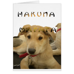 Hakuna Matata Ich weiß, was Sie denken pinctur