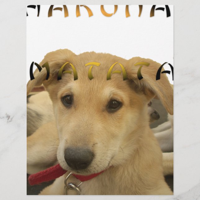 Hakuna Matata Ich weiß, was Sie denken pinctur (Vorderseite)