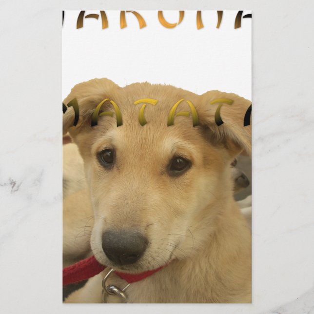 Hakuna Matata Ich weiß, was Sie denken pinctur Briefpapier (Vorderseite)