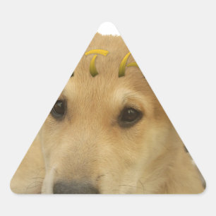 Hakuna Matata Ich weiß, was Sie denken pinctur Dreieckiger Aufkleber