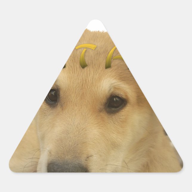 Hakuna Matata Ich weiß, was Sie denken pinctur Dreieckiger Aufkleber (Vorderseite)