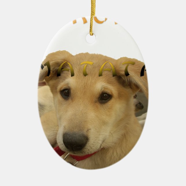 Hakuna Matata Ich weiß, was Sie denken pinctur Keramik Ornament (Vorne)