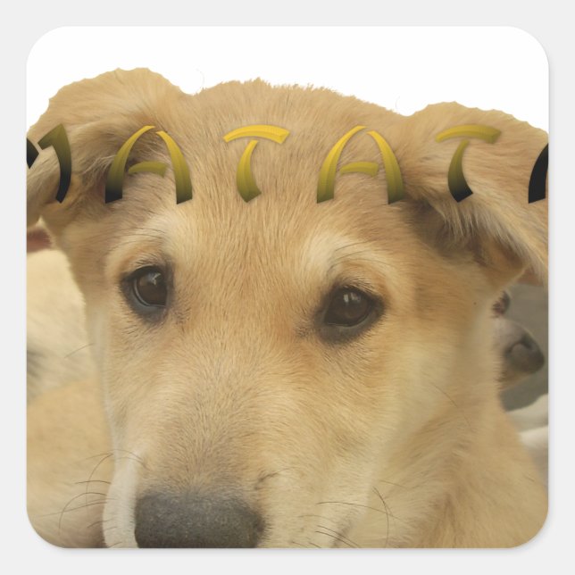 Hakuna Matata Ich weiß, was Sie denken pinctur Quadratischer Aufkleber (Vorderseite)