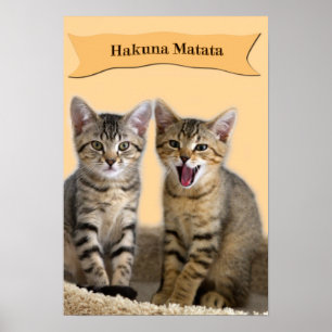 Hakuna Matata kitten Poster