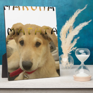 "Hakuna Matata Pup" - Worry-free Puppy Liebe Fotoplatte