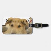 "Hakuna Matata Pup" - Worry-free Puppy Liebe