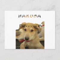 "Hakuna Matata Pup" - Worry-free Puppy Liebe