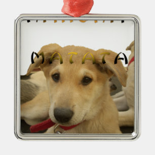 "Hakuna Matata Pup" - Worry-free Puppy Liebe Silbernes Ornament