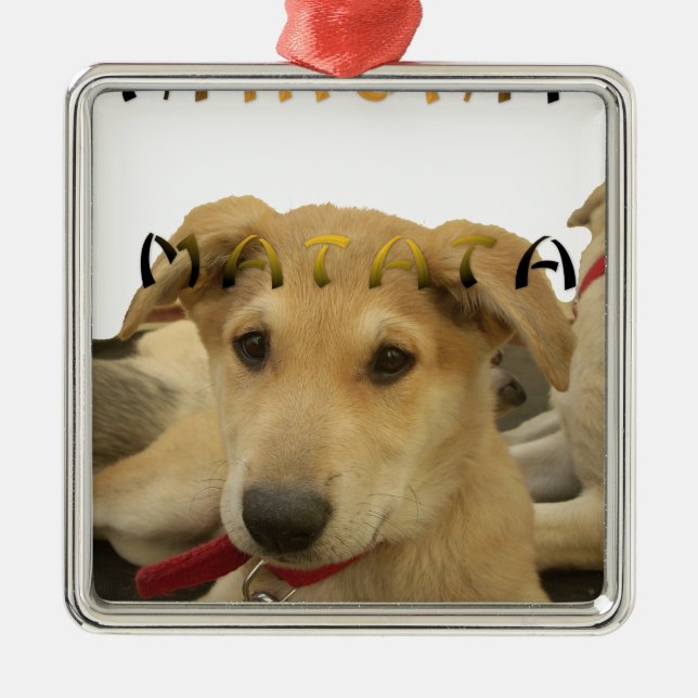 "Hakuna Matata Pup" - Worry-free Puppy Liebe Silbernes Ornament (Vorne)