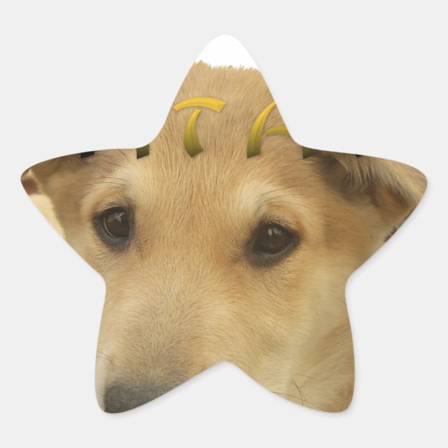 "Hakuna Matata Pup" - Worry-free Puppy Liebe Stern-Aufkleber (Vorderseite)