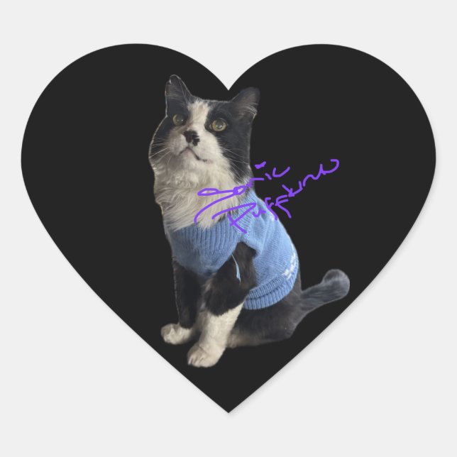 Hakuzi Heart Stickers (Vorderseite)